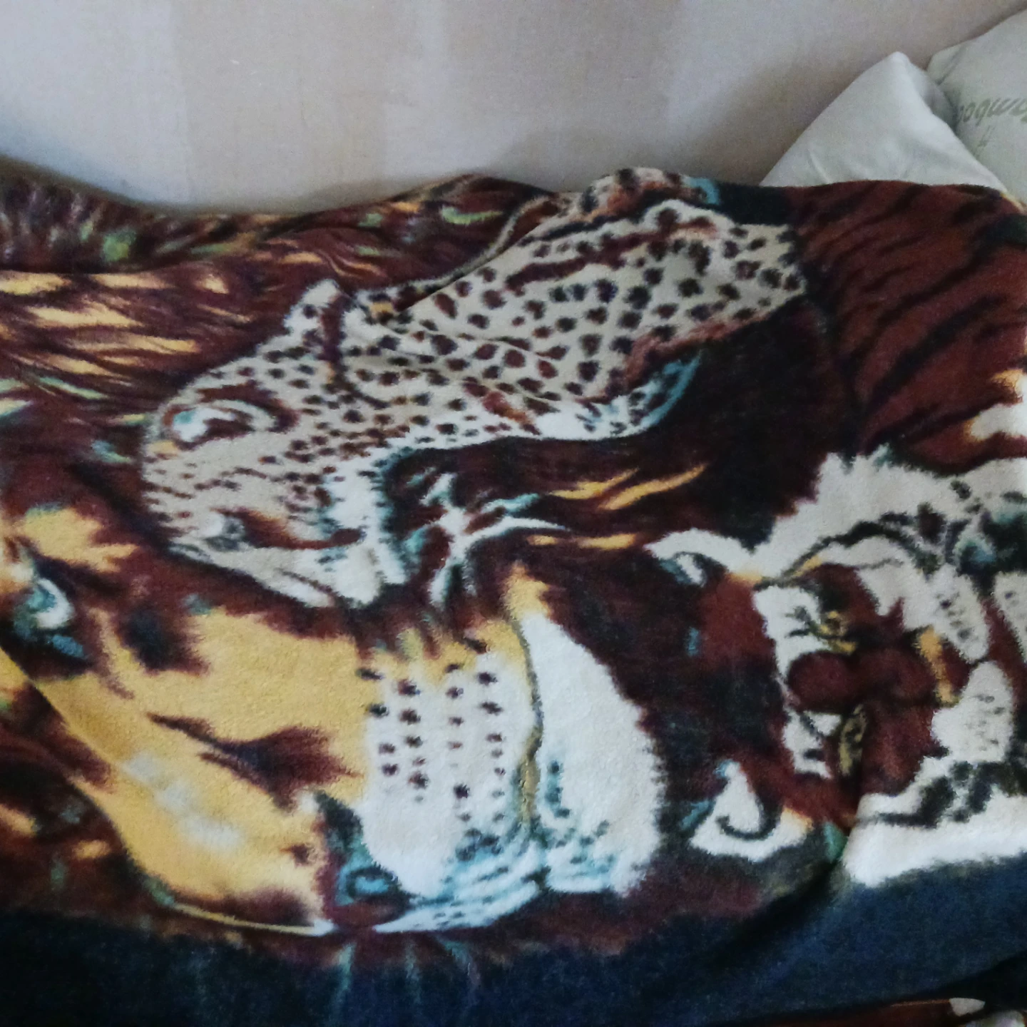 Lion, Leopard,and Tiger Fleece Blanket - photo 4