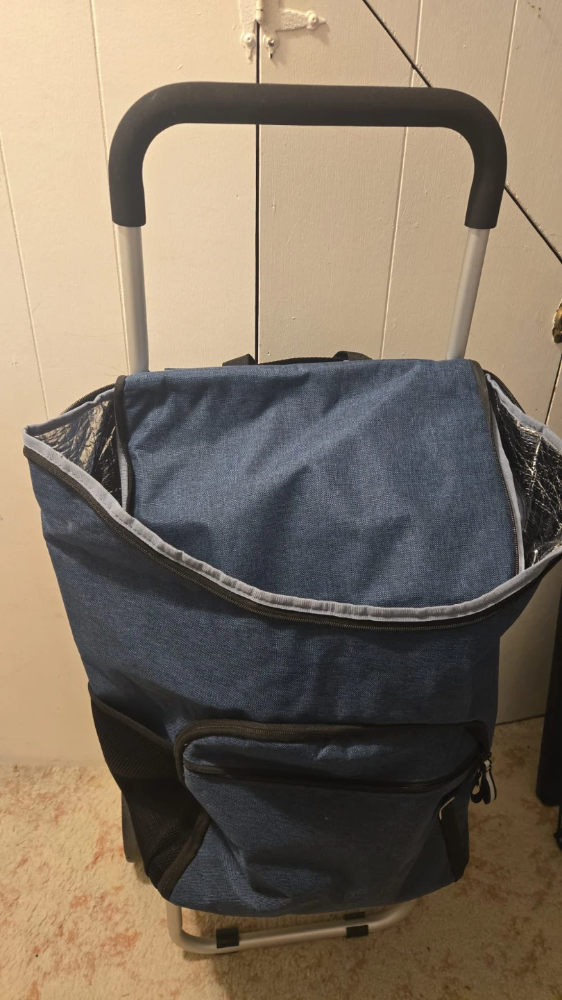 Blue Rolling Shopping Cart