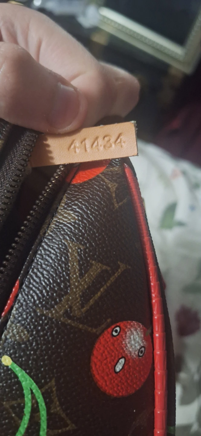 Louis Vuitton Speedy Cherry Monogram Bag - photo 2