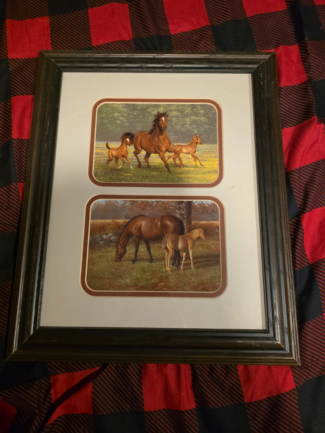 Framed Horse Art Print