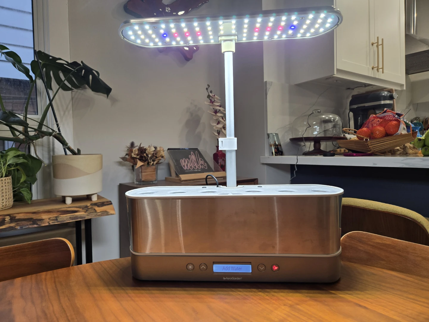 AeroGarden Harvest Indoor Garden - Hydroponic