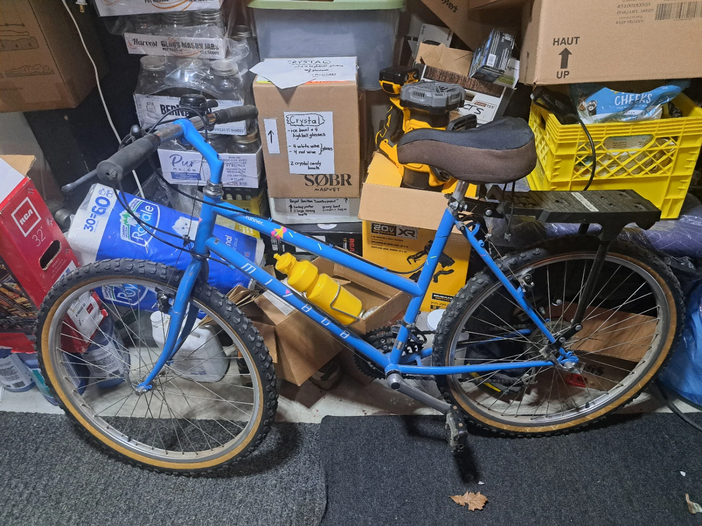 Blue Mountain Bike