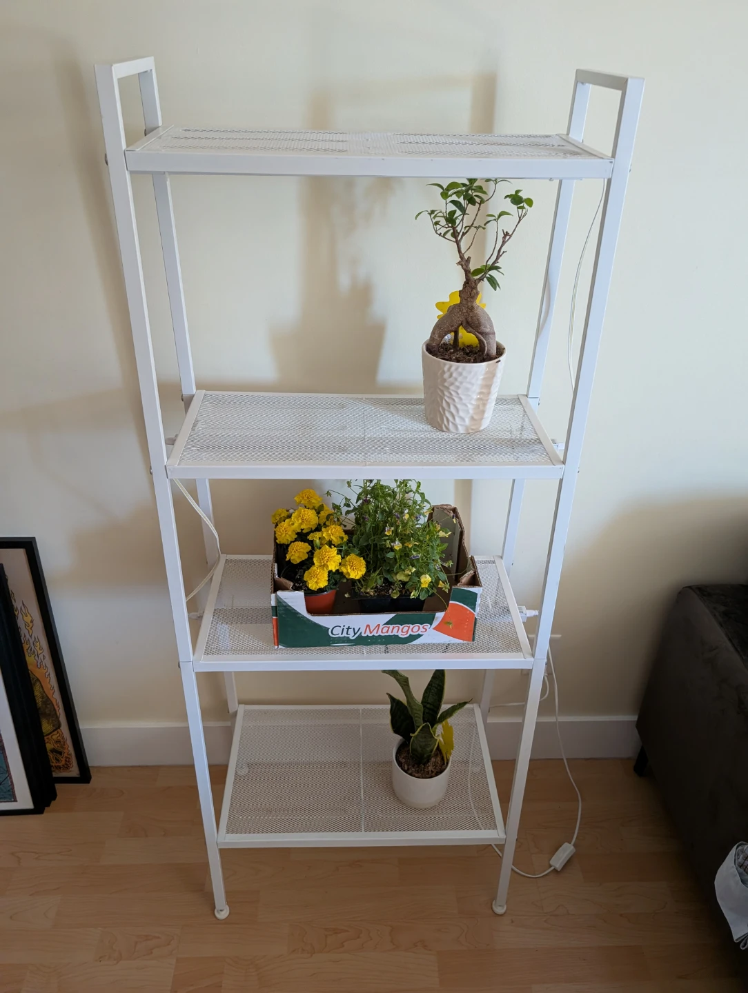 4 Tier Metal Ladder Shelf with Grow Lights