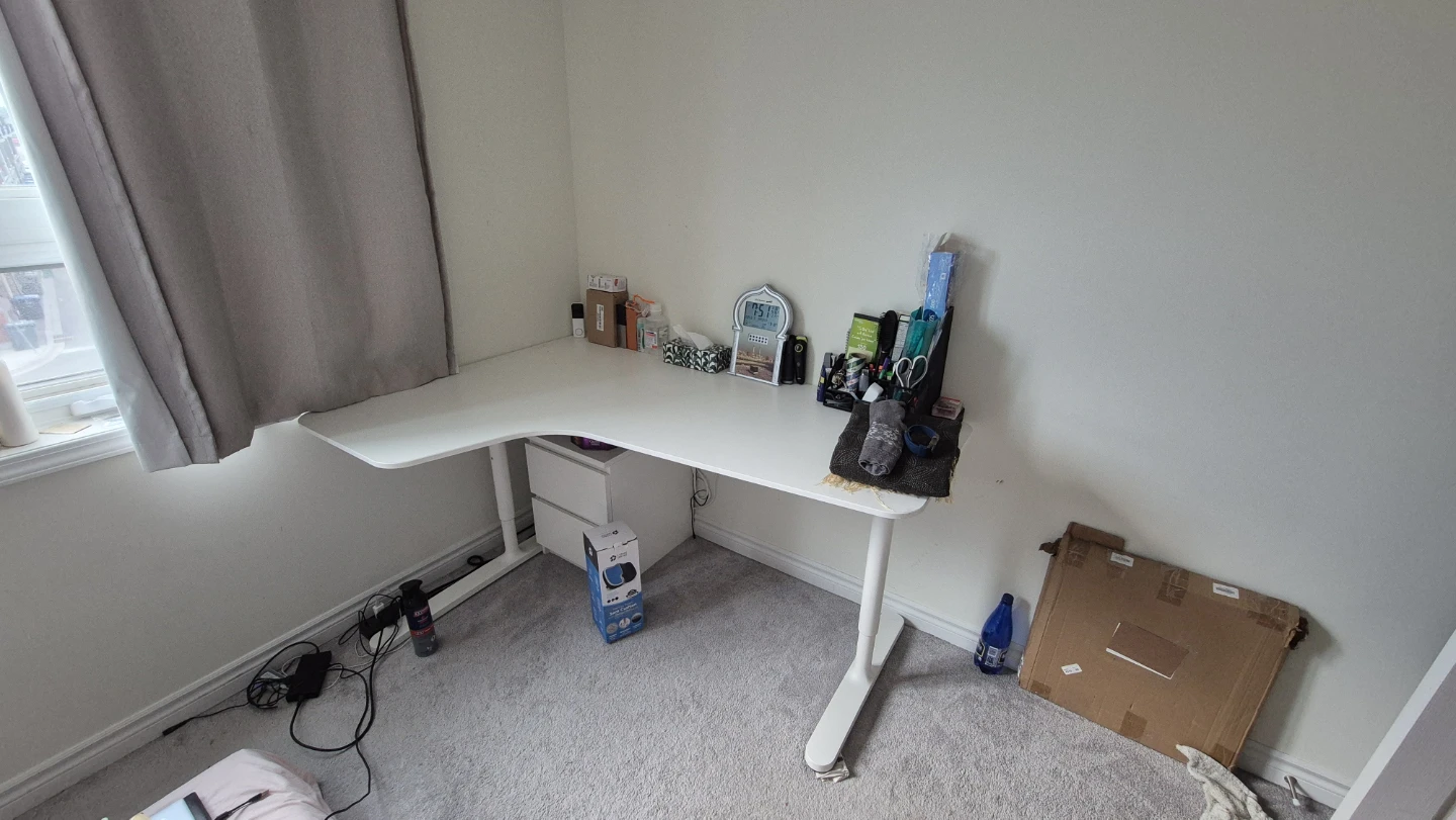 Adjustable Standing Desk