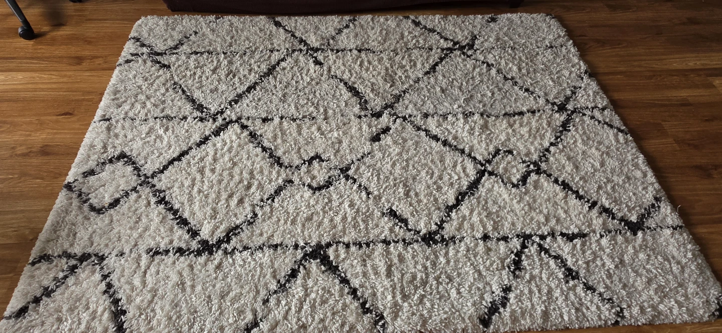 Shag Rug with Geometric Pattern