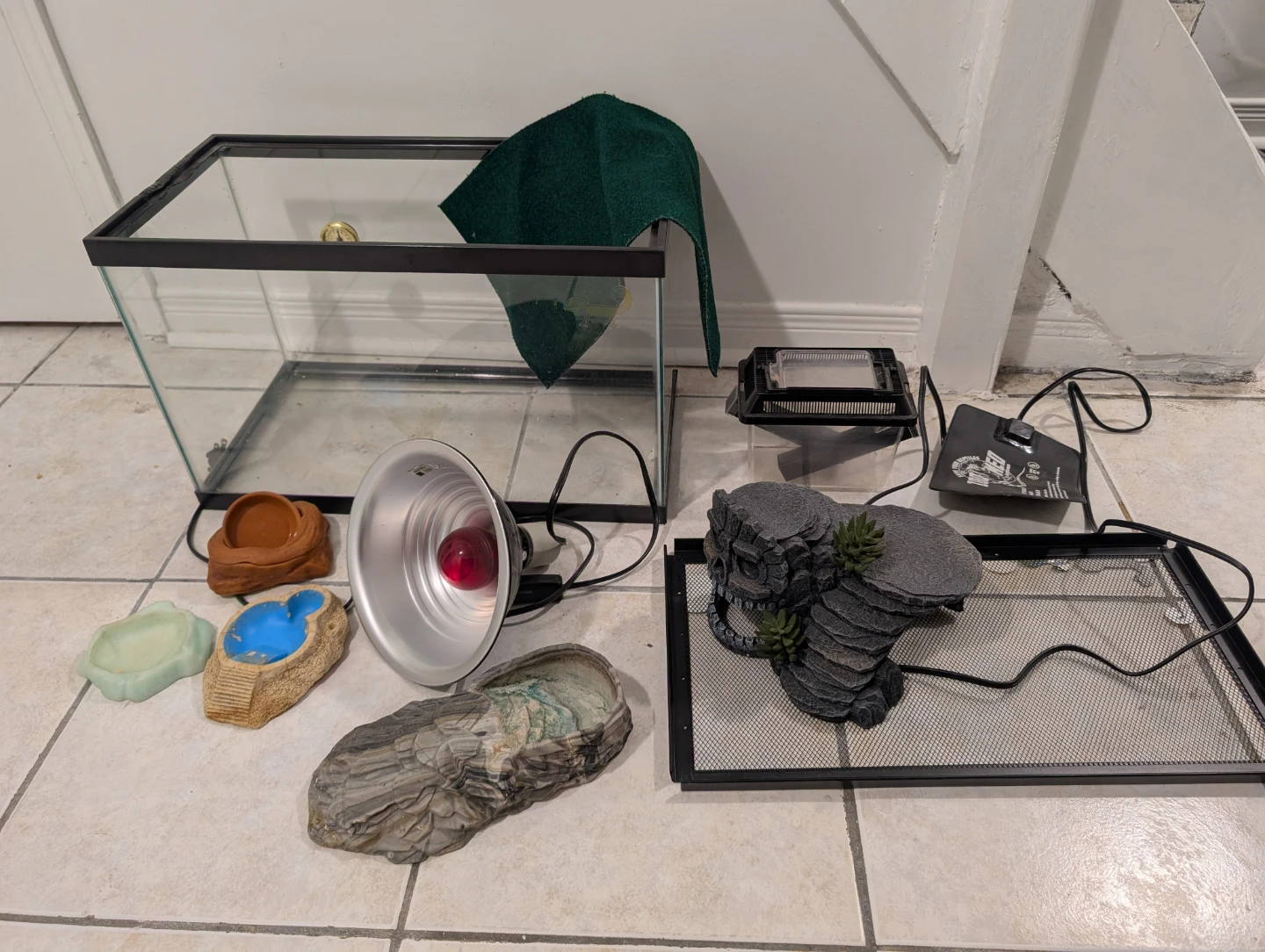 Reptile Habitat - Complete with accessories, just add a 🦎!