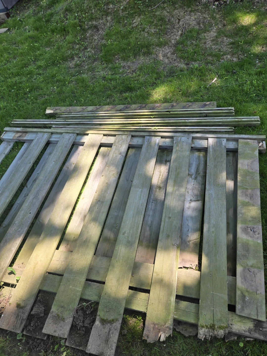 Free - Wooden Fence Panels and Posts - photo 3