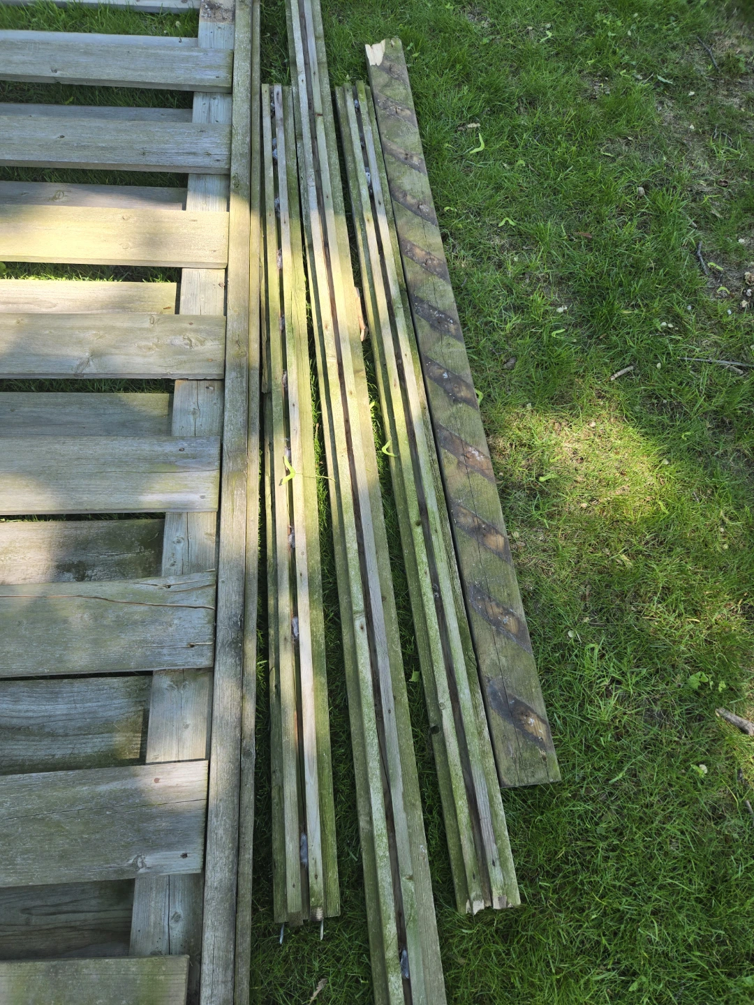 Free - Wooden Fence Panels and Posts - photo 4