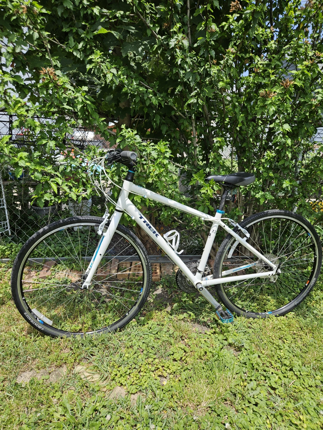 Trek FX Hybrid Bike