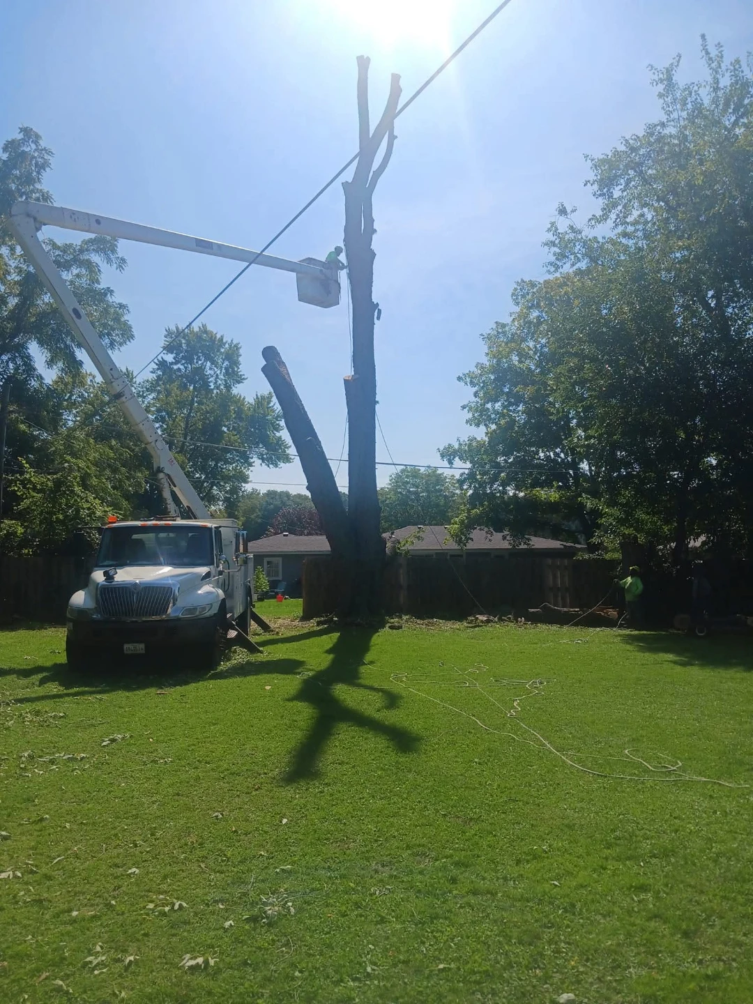 Tree Service Bucket Truck 2003 - photo 2