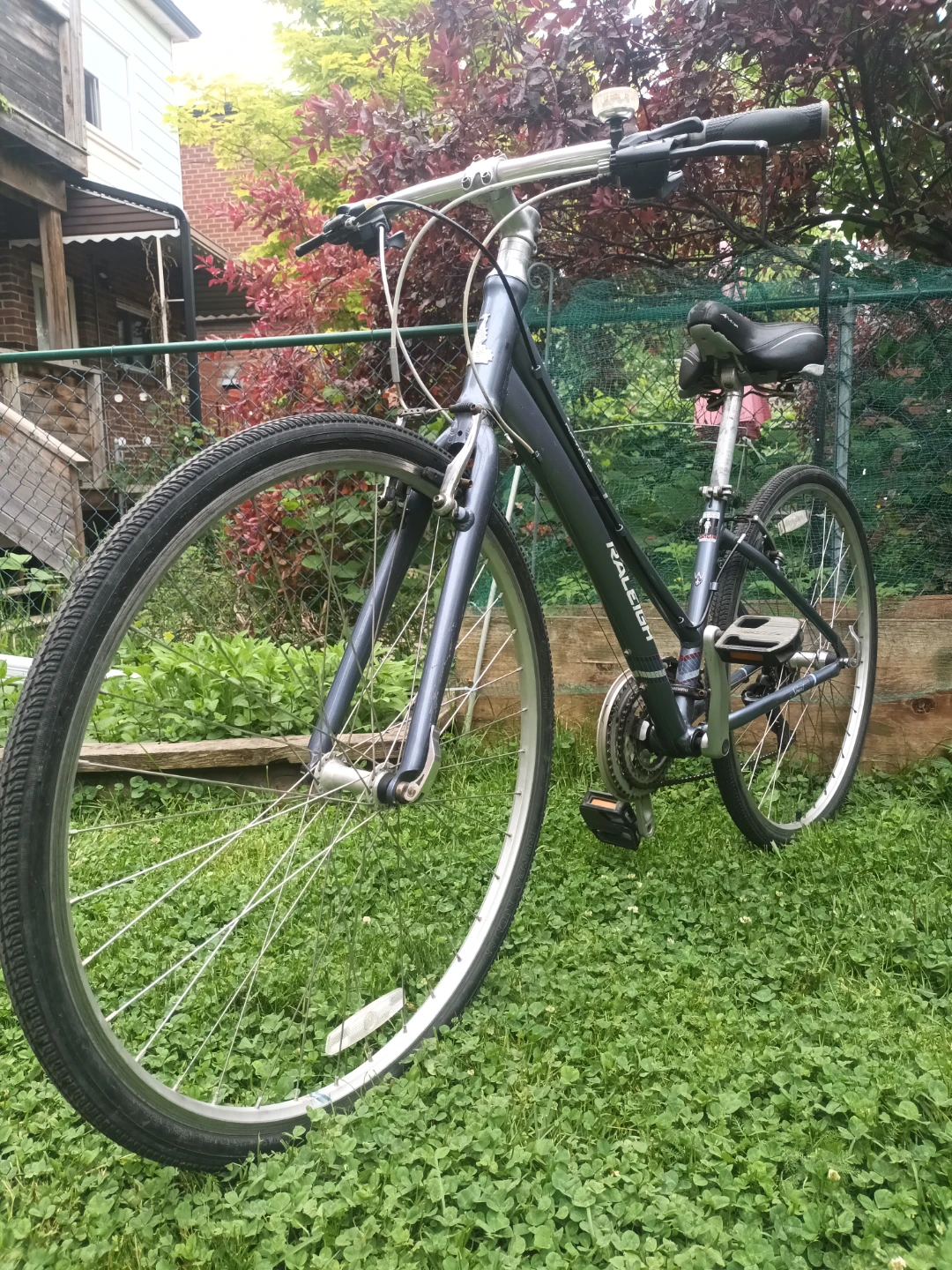 Raleigh Women's Bike