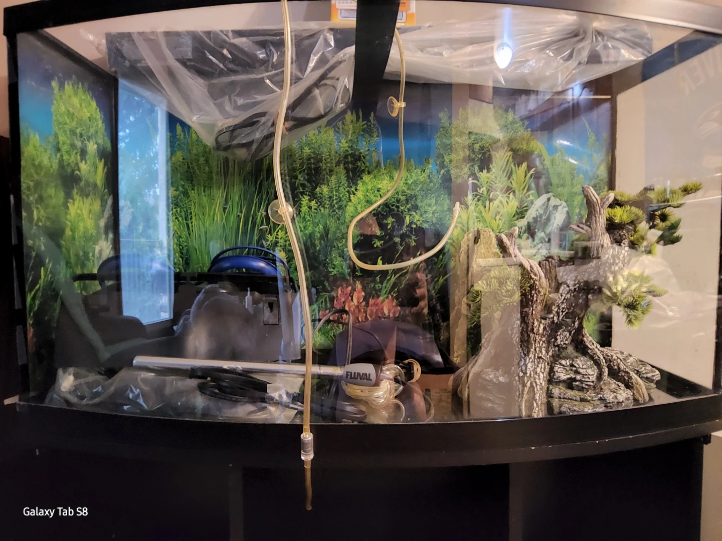 Curved Aquarium Tank with Stand