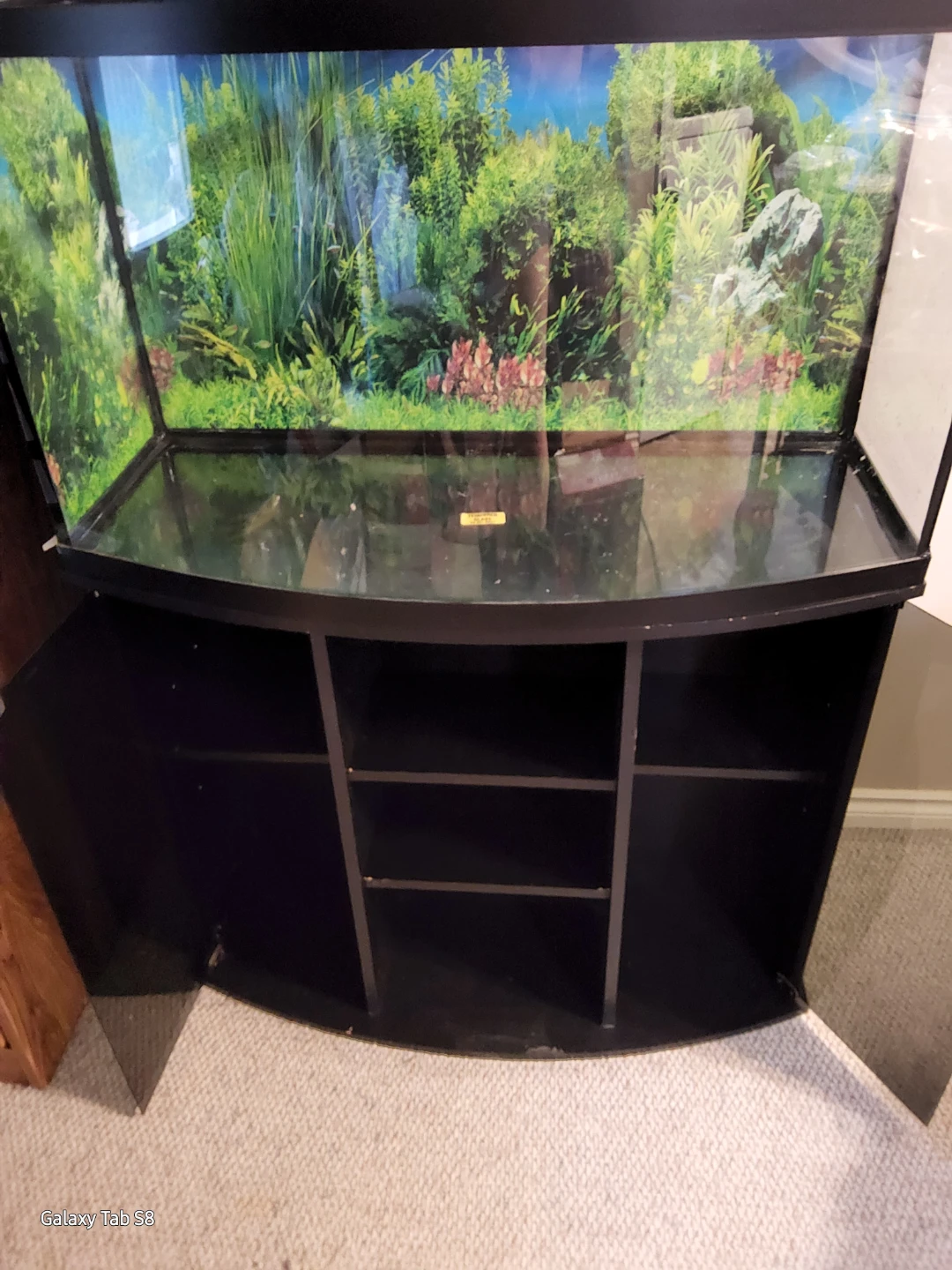 Curved Aquarium Tank with Stand - photo 3