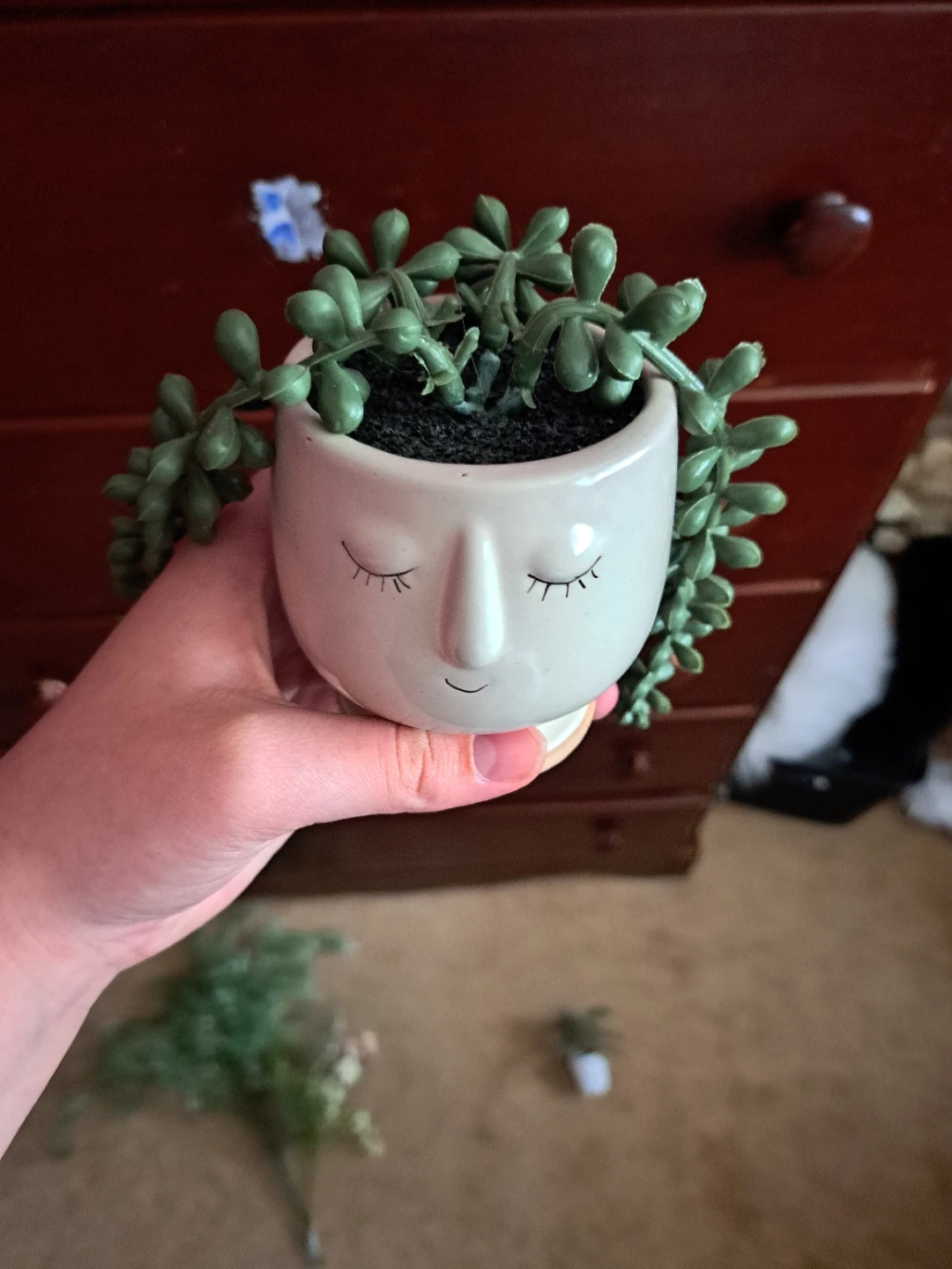 Artificial Plants Bundle - photo 3