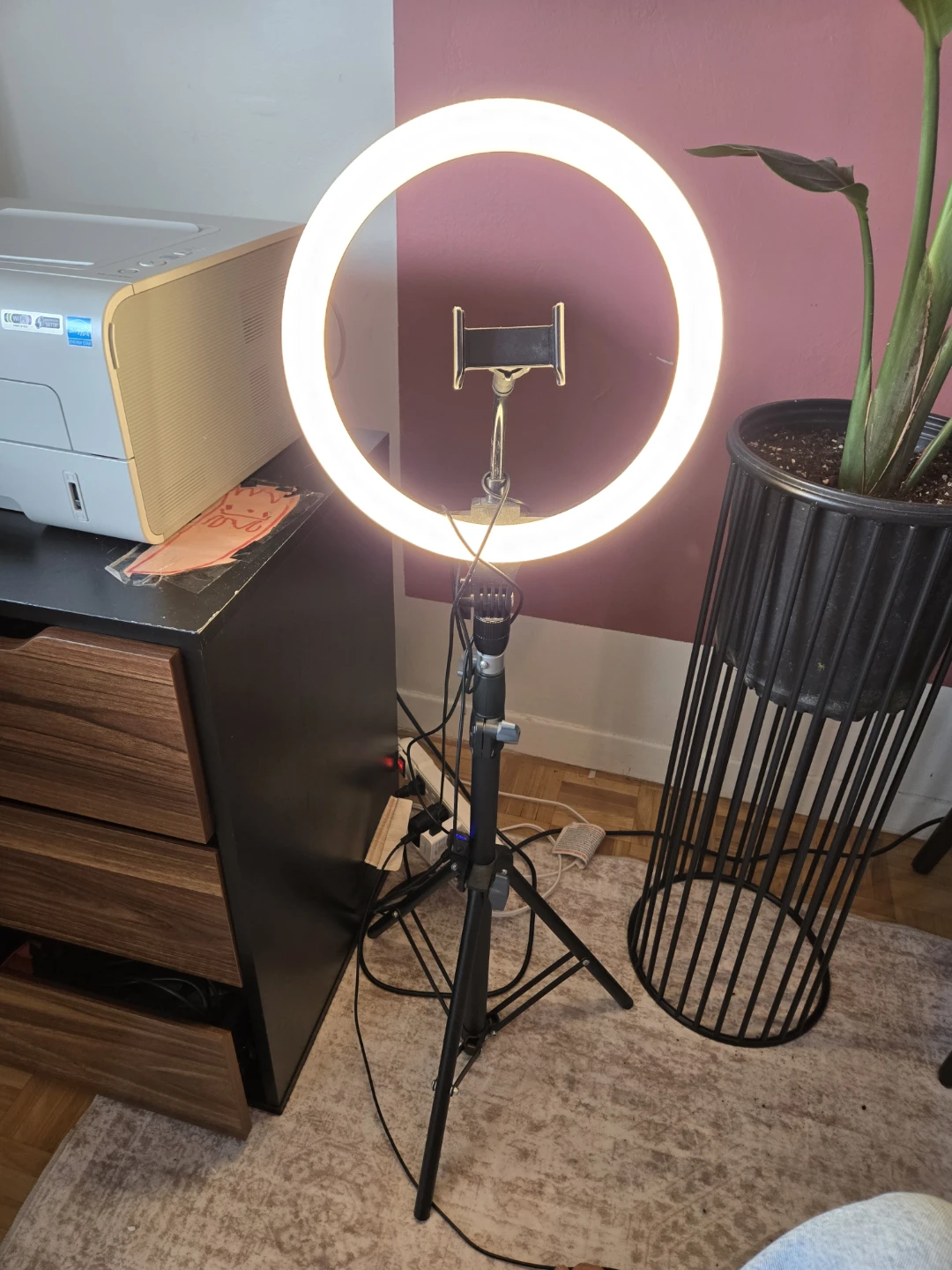 Ring Light with Phone Holder