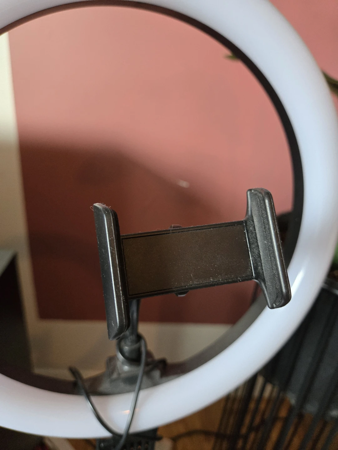 Ring Light with Phone Holder - photo 4