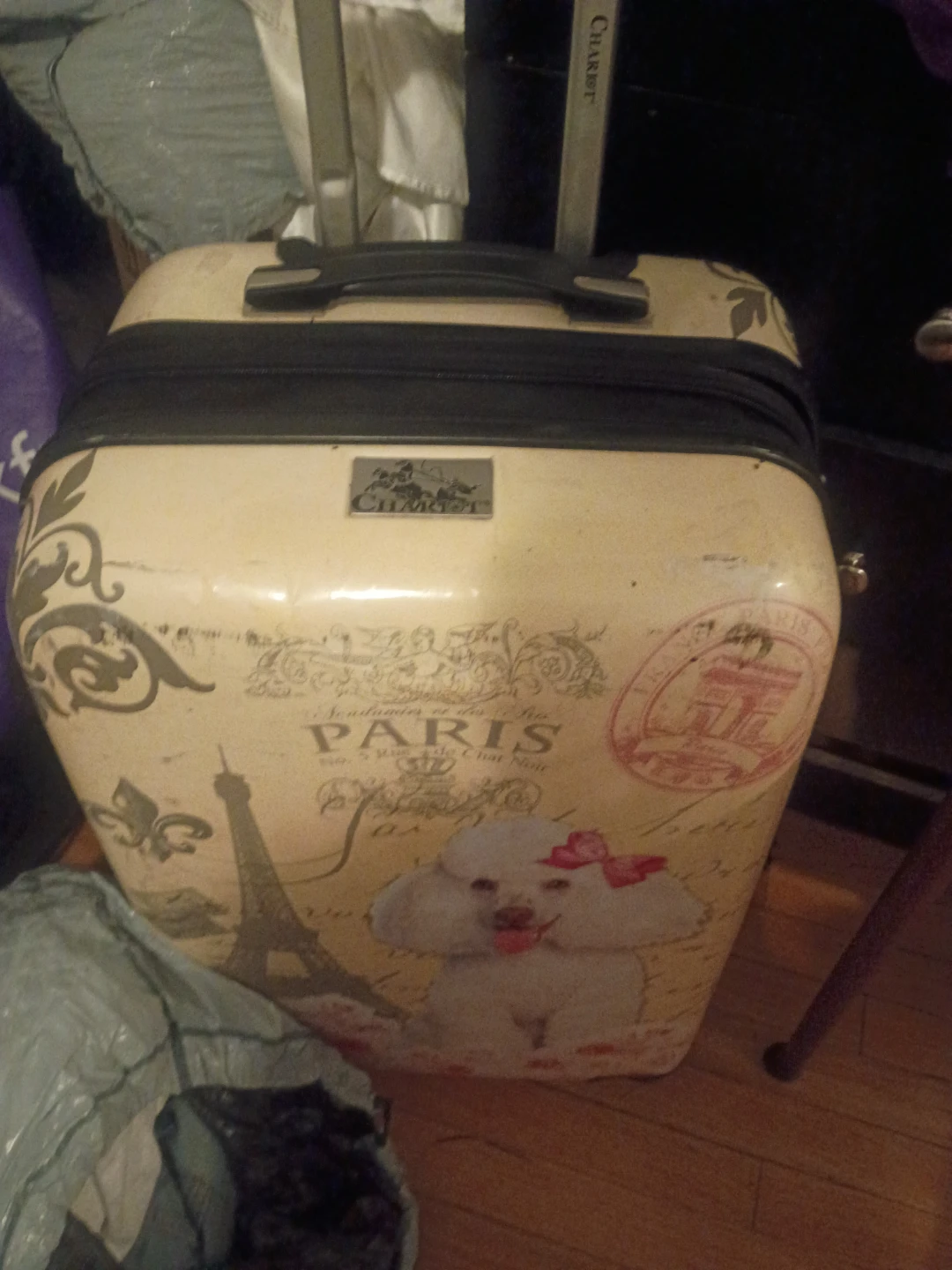 ⚽Chariot Paris Themed Rolling Luggage with Poodle Design