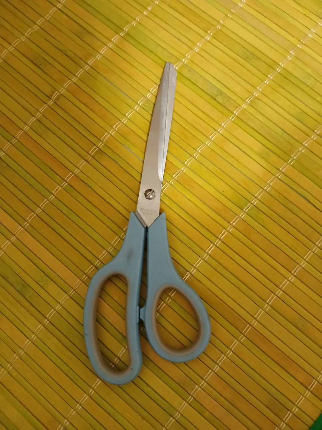 Light Blue Handle Scissors⚽