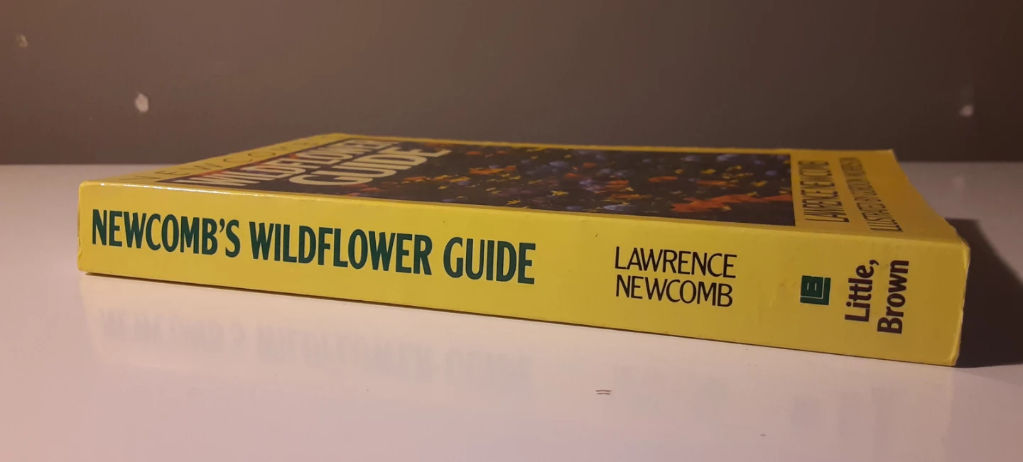 Newcomb's Wildflower Guide (1977) - photo 2