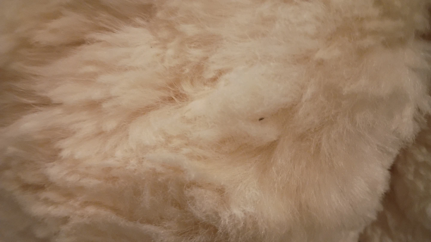 Alpaca Fur Throw Blanket - photo 5