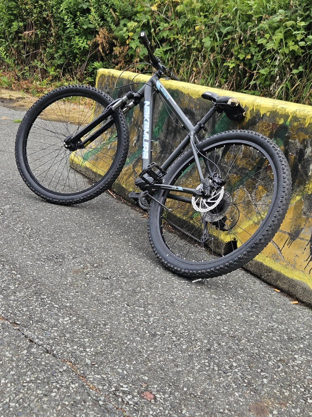 Nakamura Antidote 2020 hardtail mtb