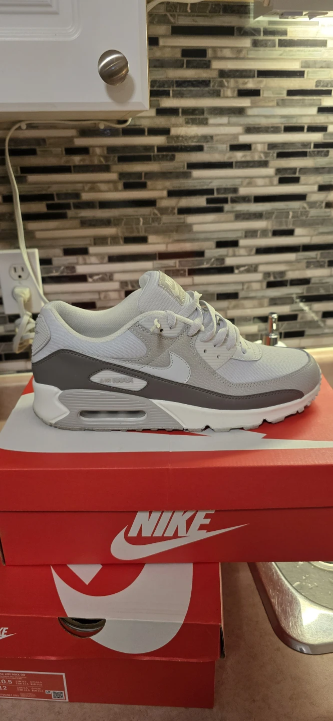 Nike Air Max 90 Men's Shoes