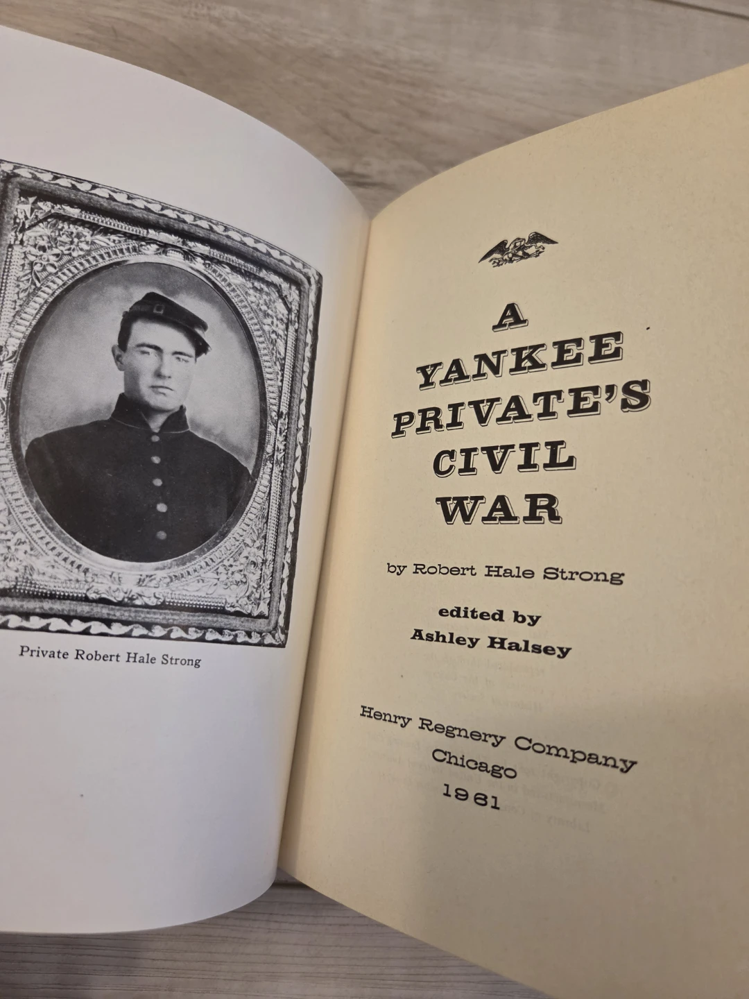 A Yankee Private's Civil War by Robert Hale Strong Book - photo 2
