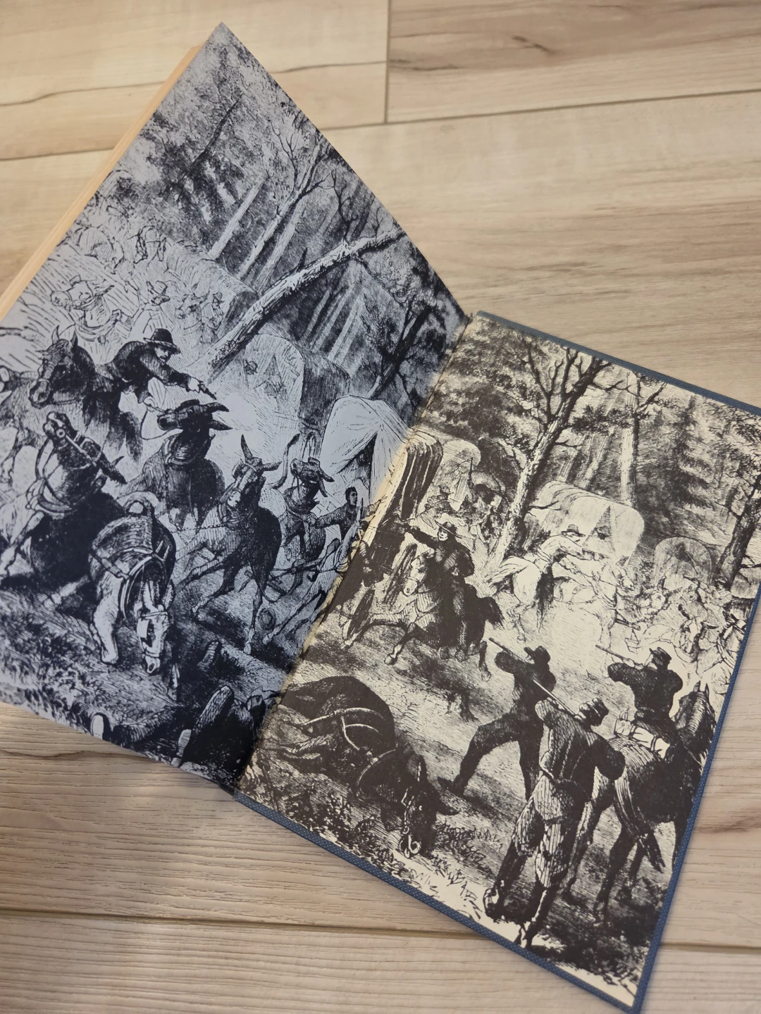 A Yankee Private's Civil War by Robert Hale Strong Book - photo 4