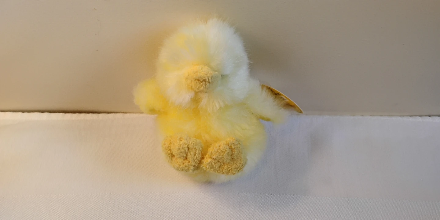 ⚽ Stuffed Animal Chick