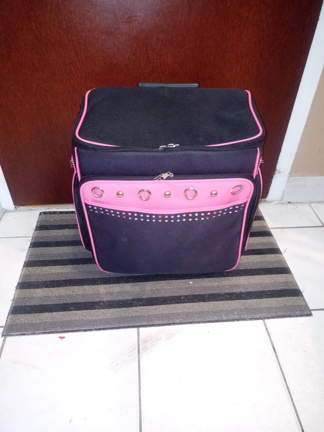 Luggage/Shopping Cart