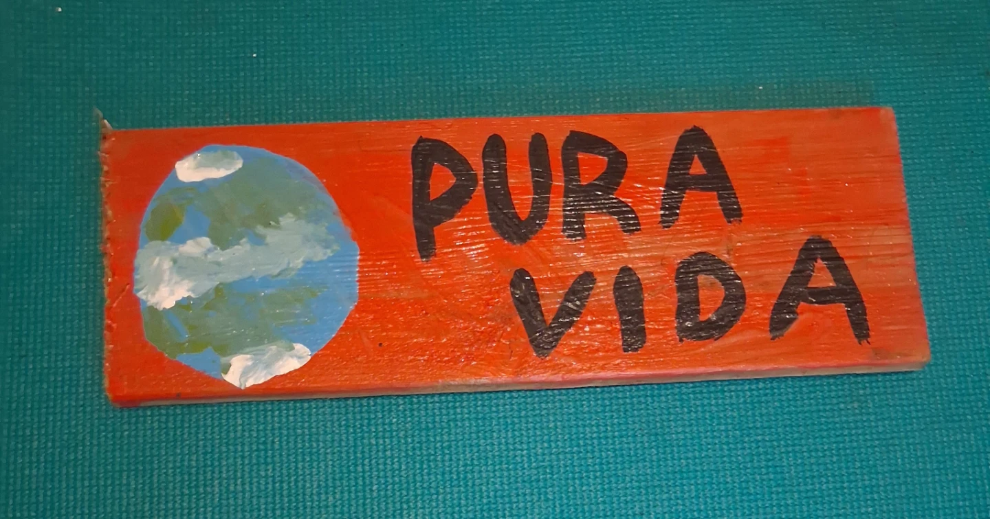 Costa Rica reclaimed wood handpainted Earth Lover signs - photo 3