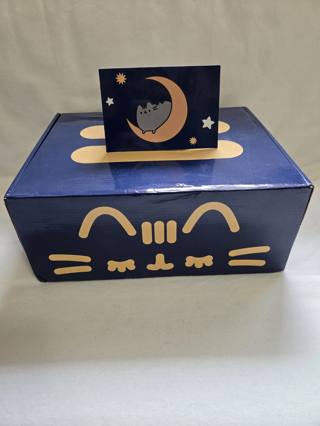 Pusheen Box Fall 2020 - Out of This World