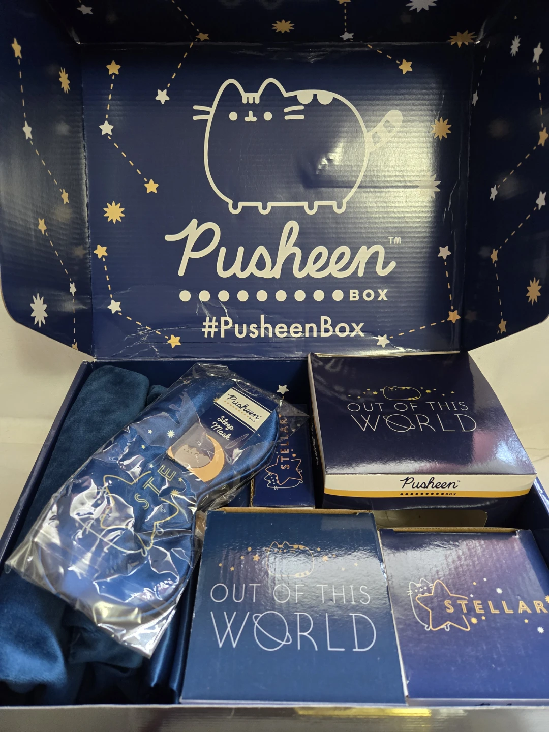 Pusheen Box Fall 2020 - Out of This World - photo 2