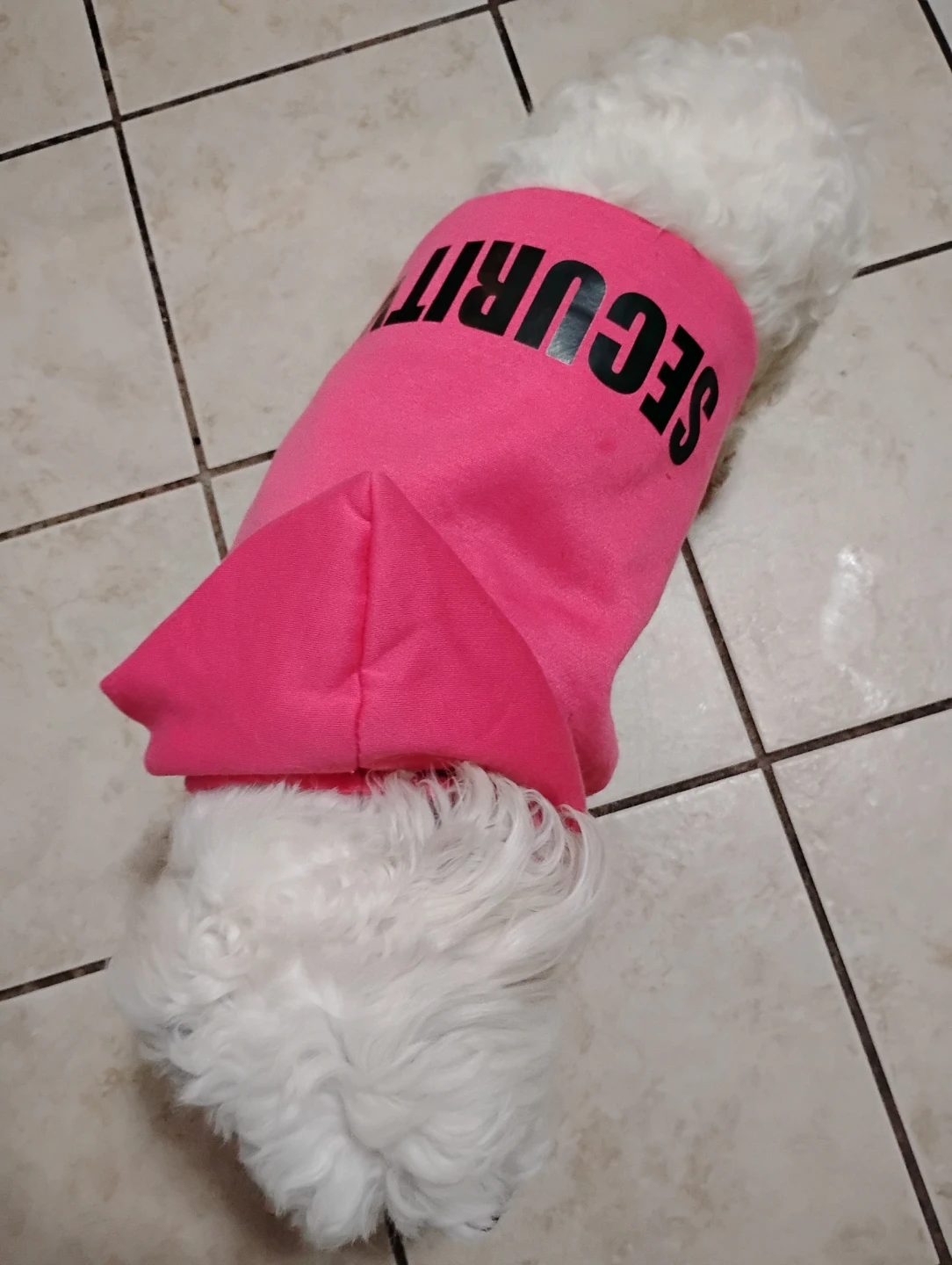 Pink Dog Hoodie "SECURITY"