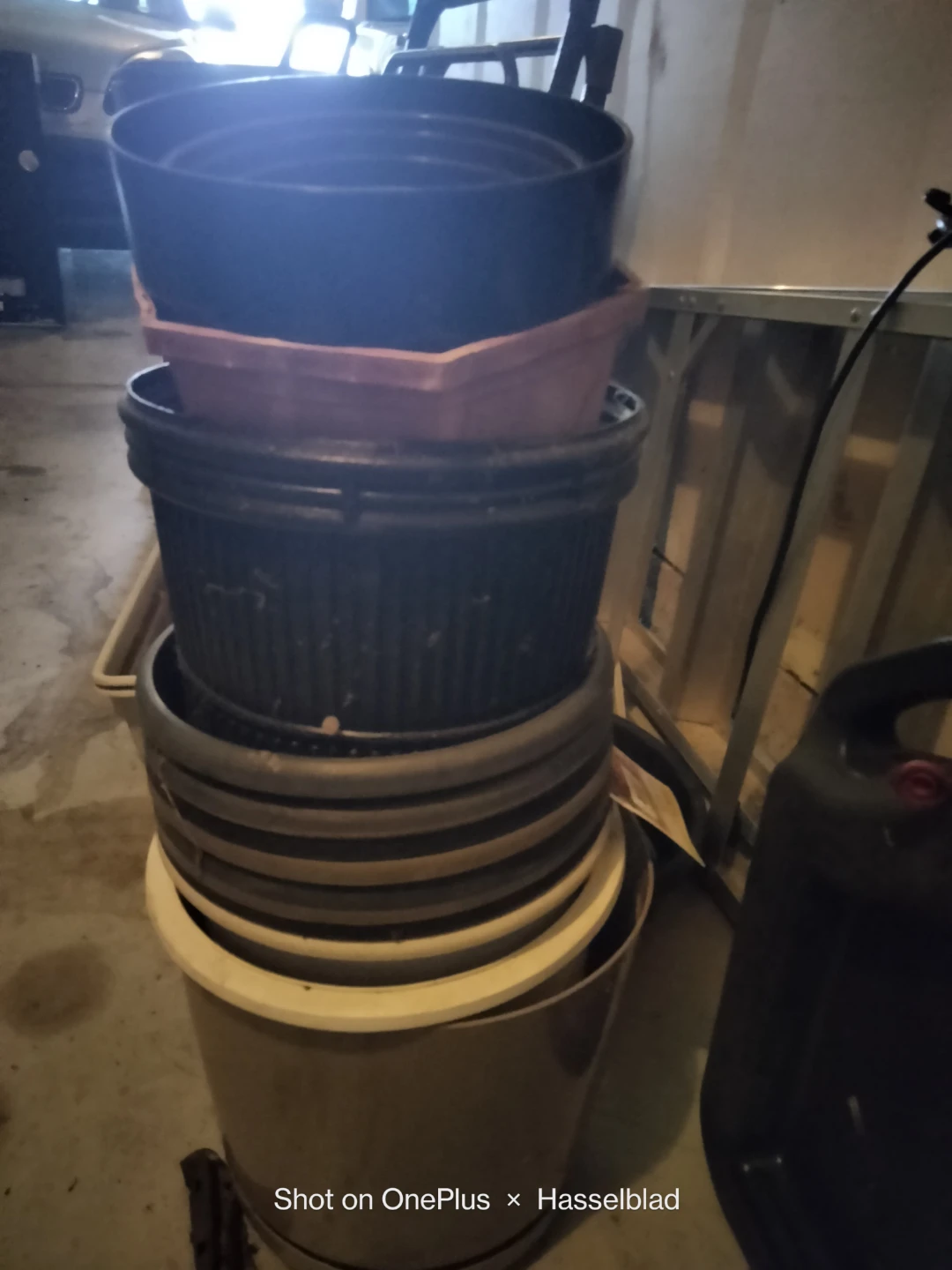 Assorted Flower Pots