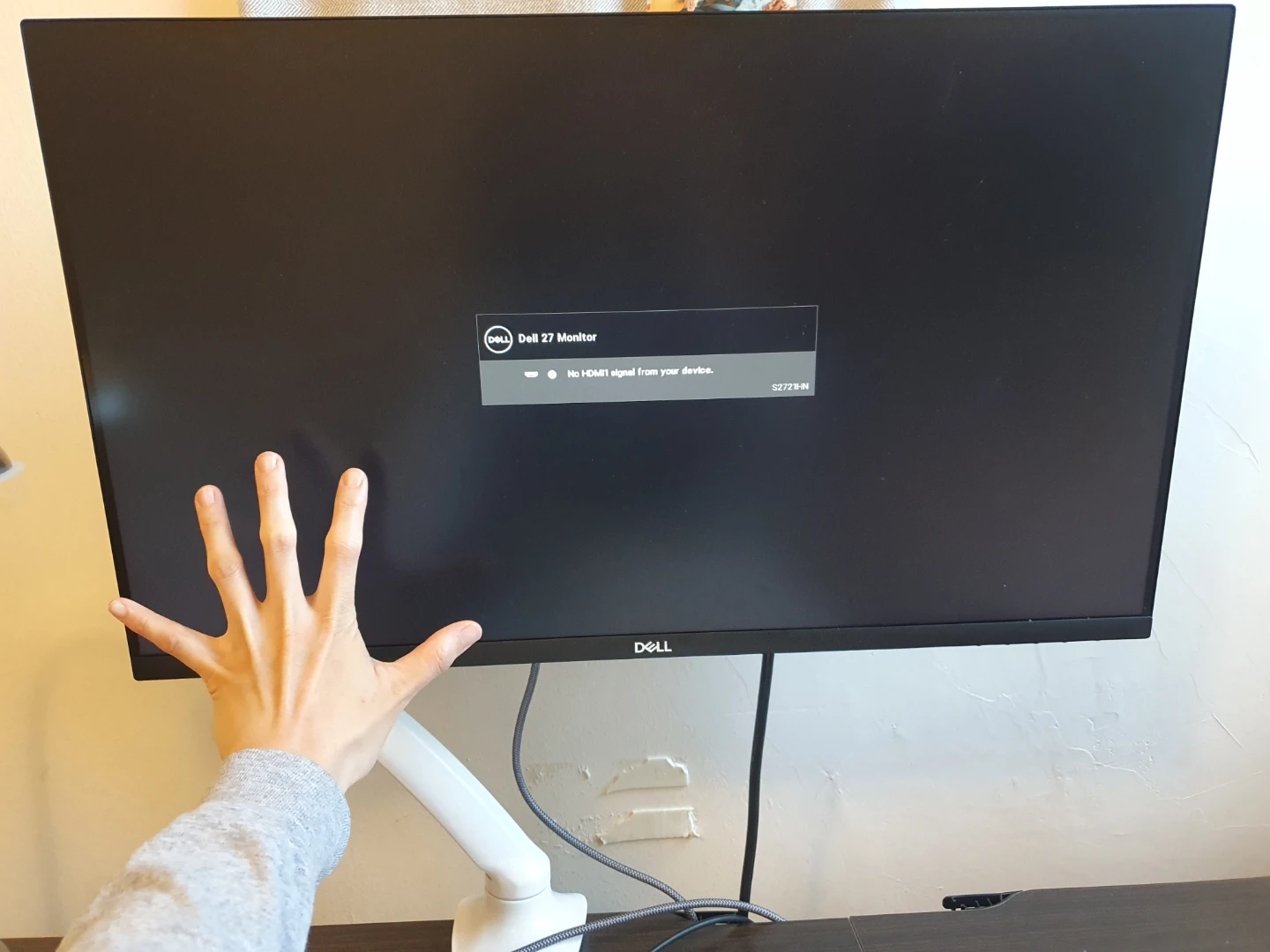 Monitor + Monitor arm