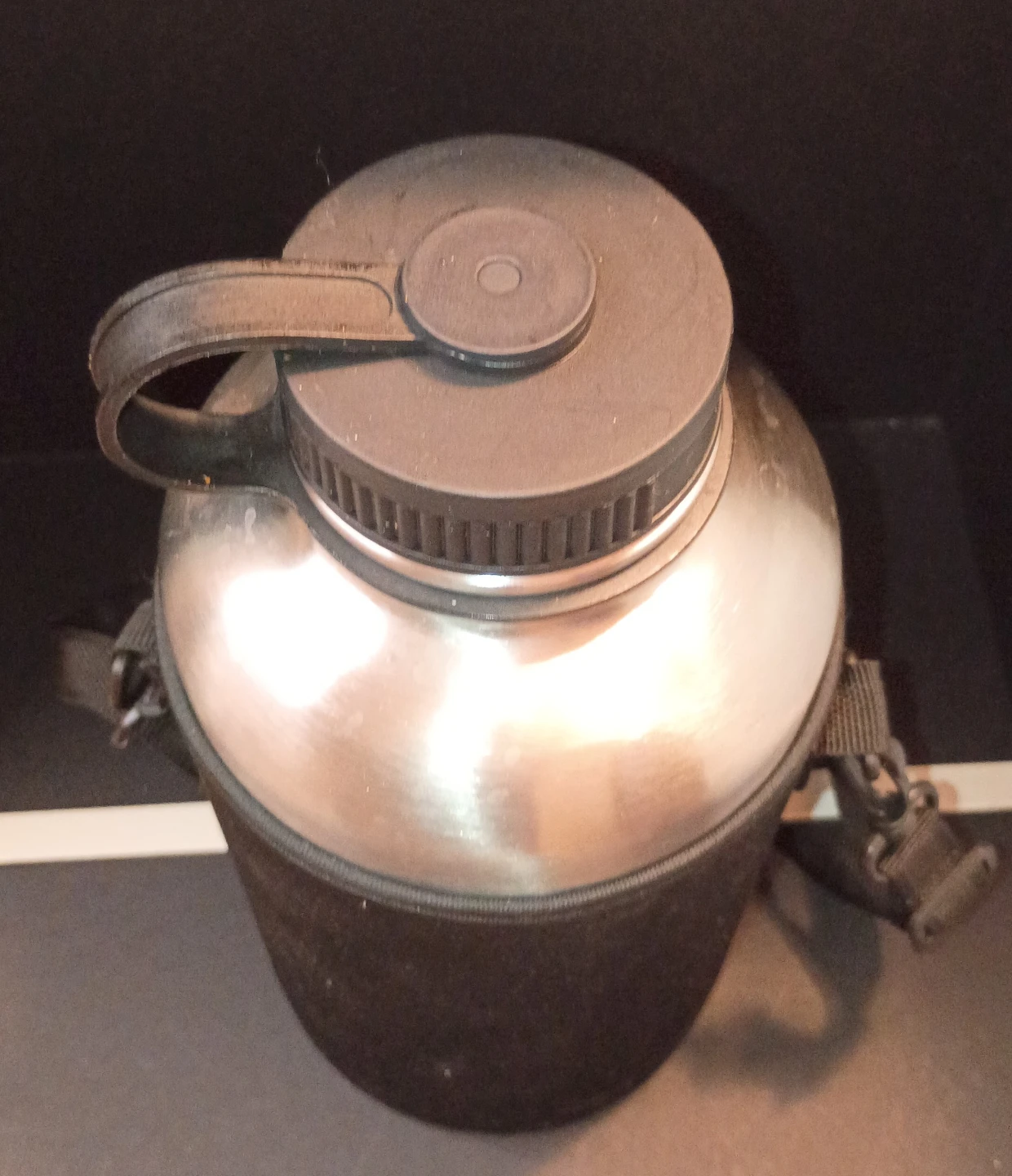 Stainless Steel Water Bottle with Carrying Sleeve - photo 4