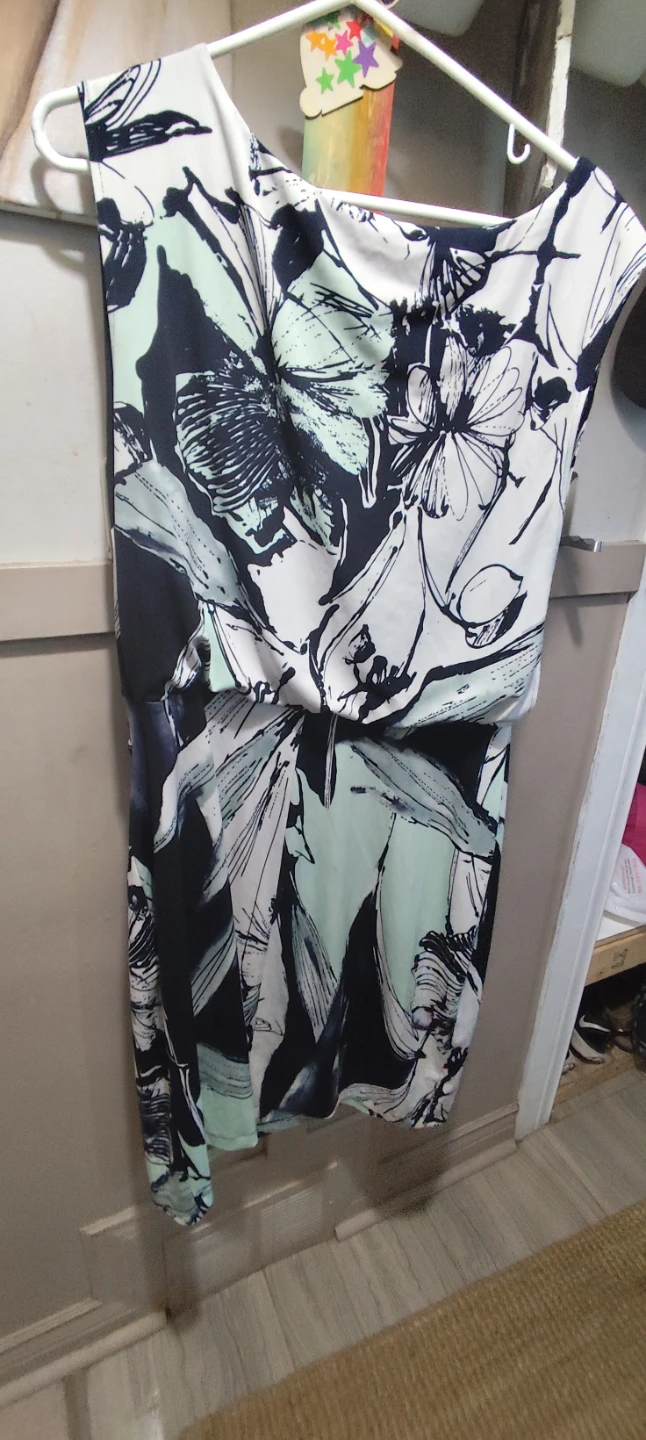 Coast Dress- size 14