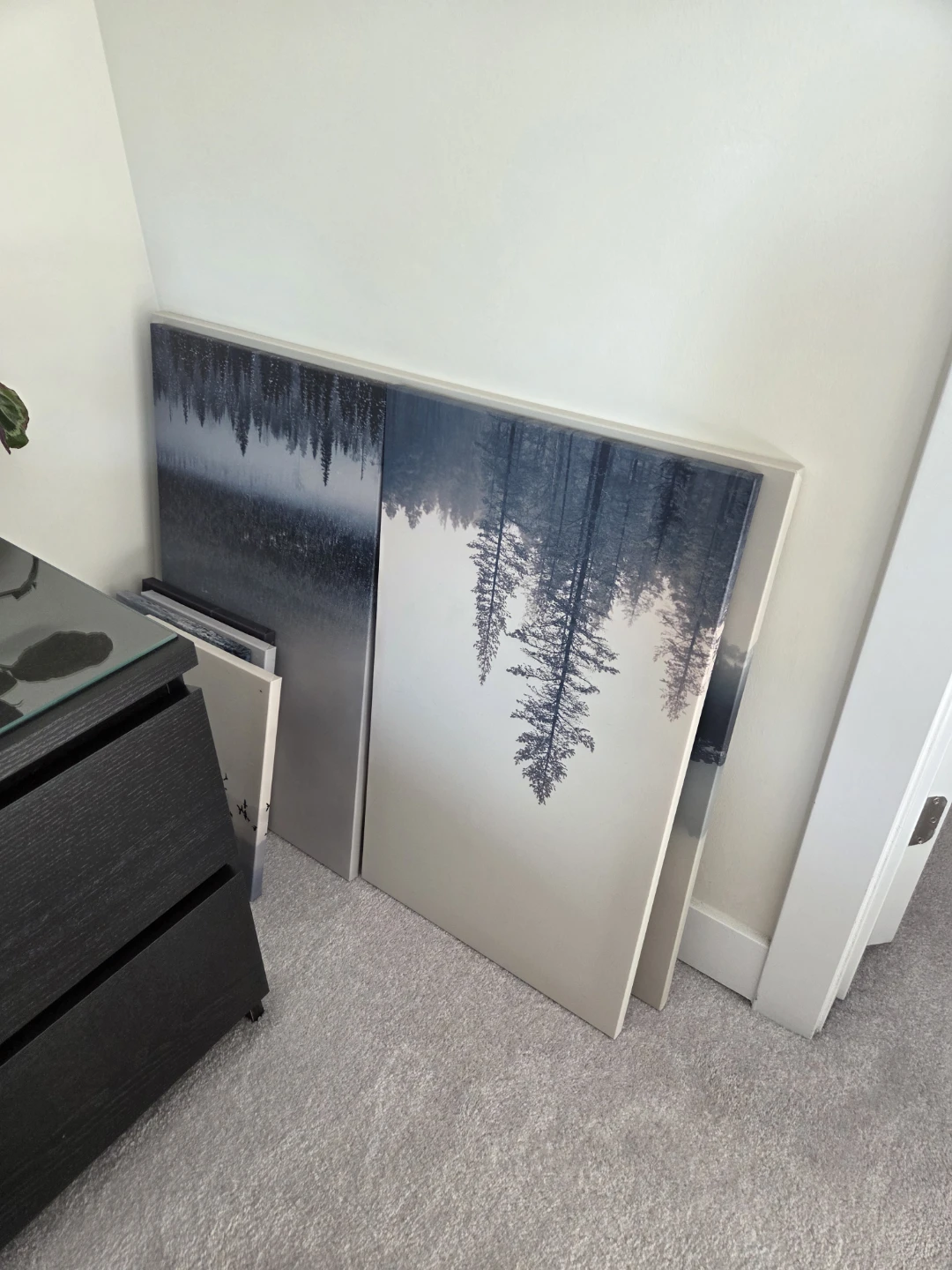 Canvas Wall Art Print - Forest Landscape