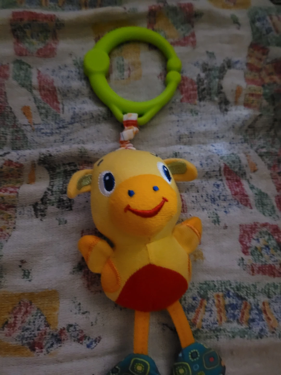 Bright Starts Take 'n Shake plush toy,