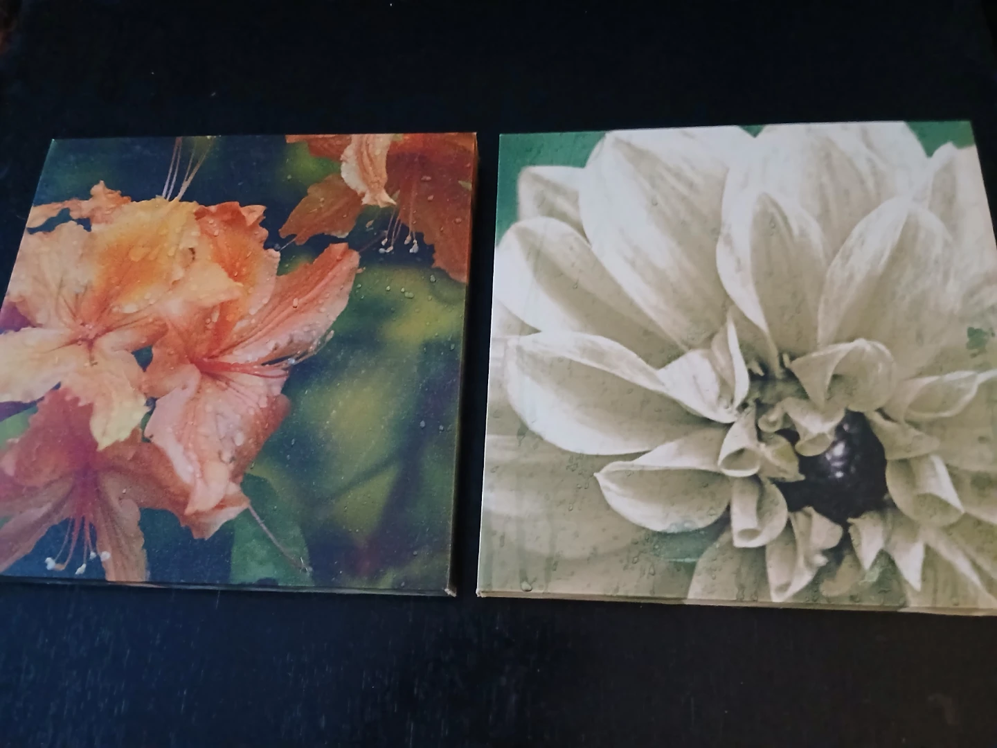 Set of 2 Floral Canvas Prints