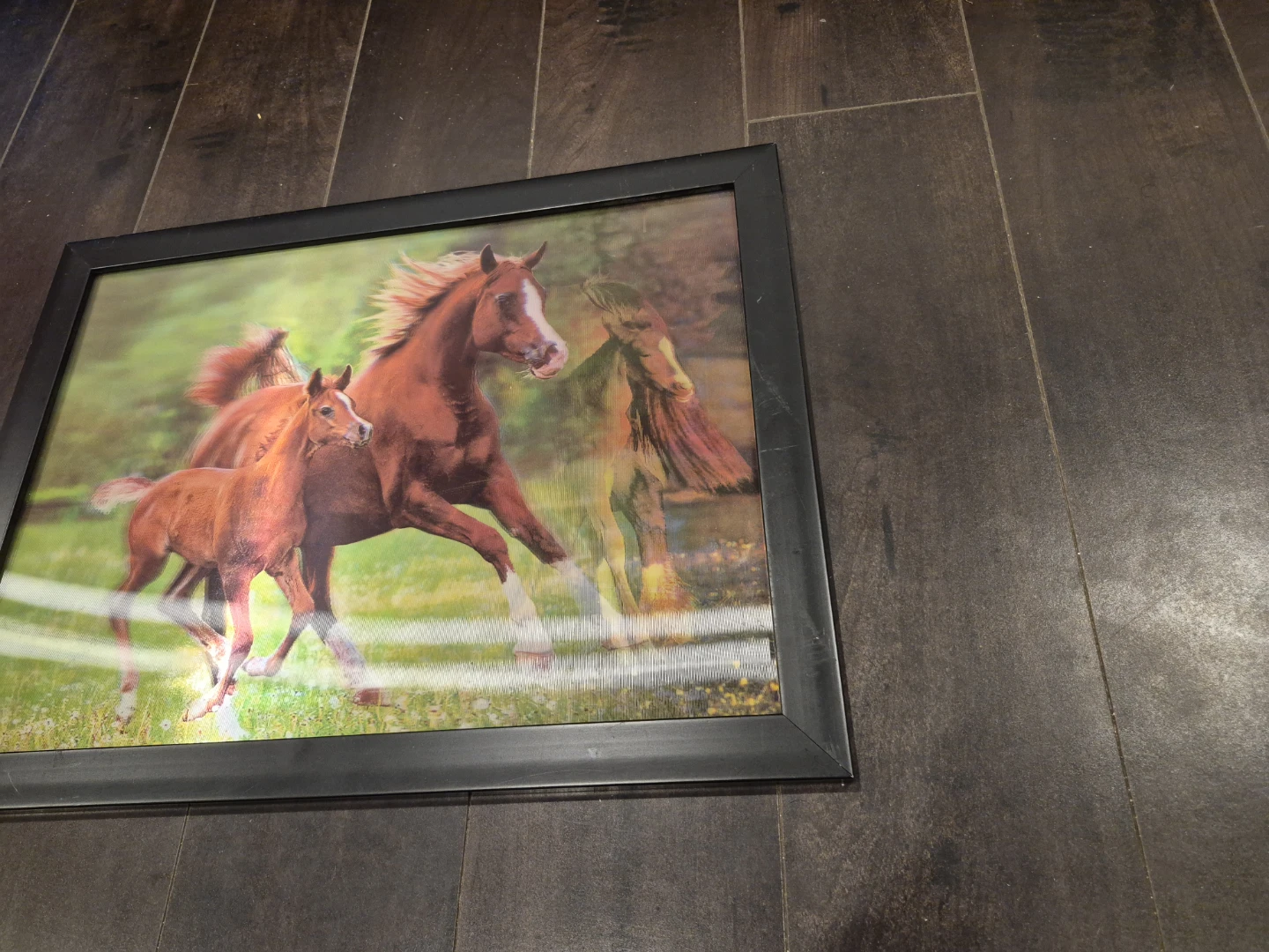 Framed Horse Picture  that has two images