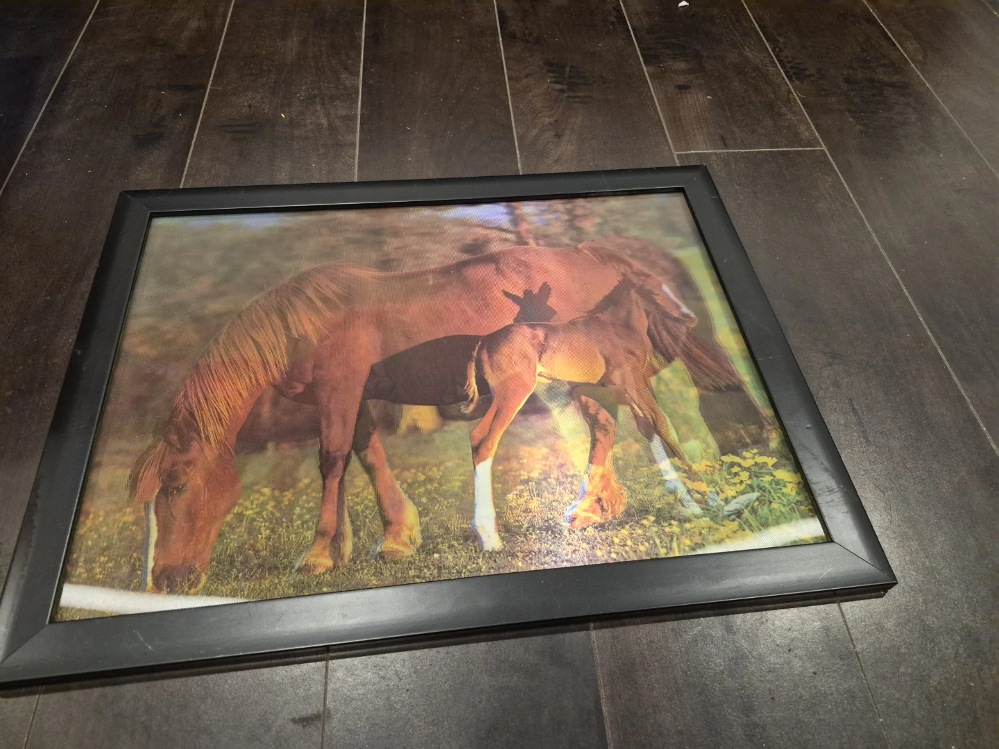 Framed Horse Picture  that has two images - photo 2