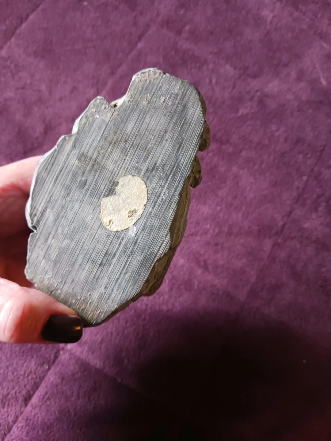 Carved Soap Stone Seal Figurine - photo 4