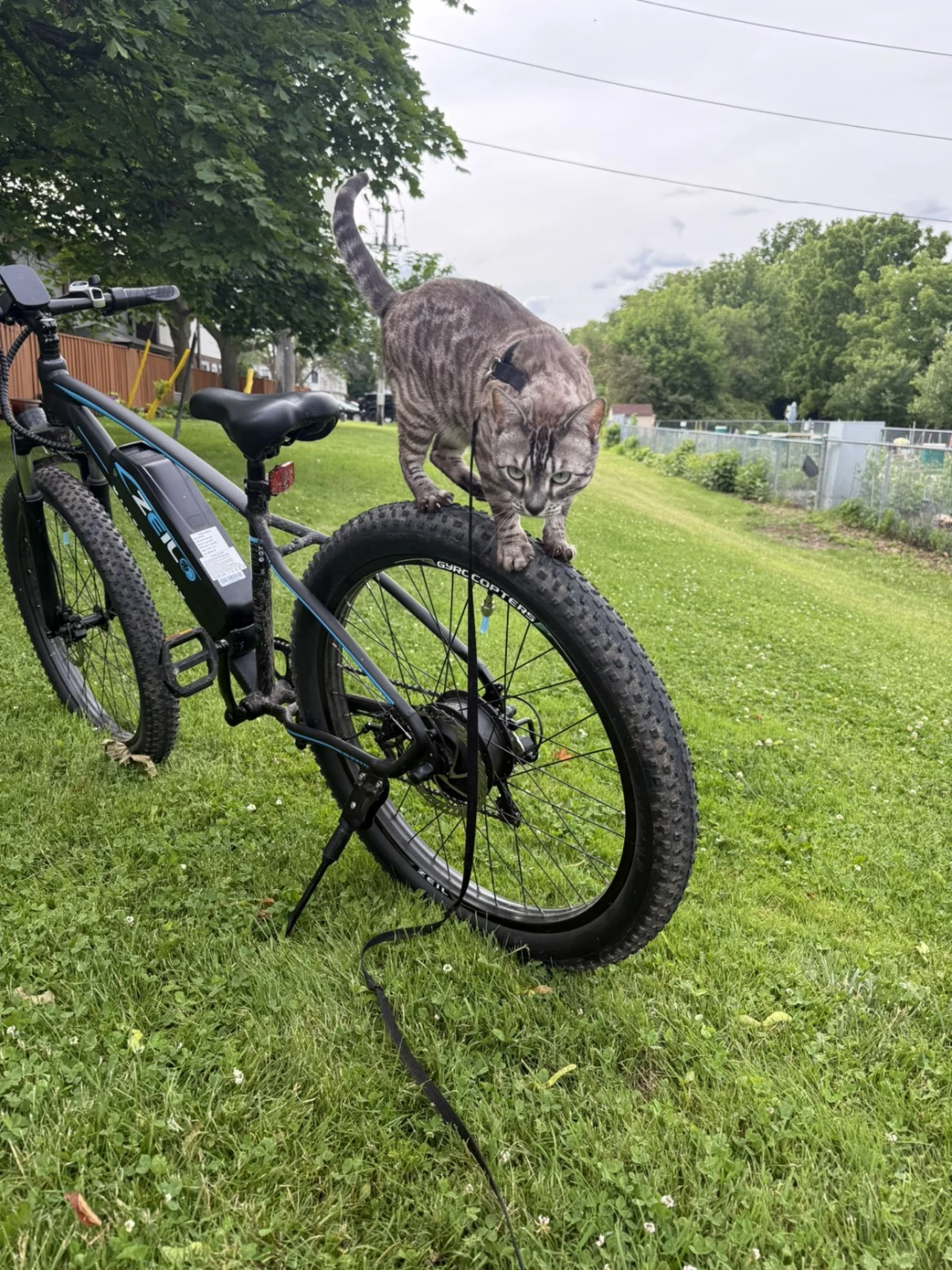 Ebike fir sale brand new 40 kph