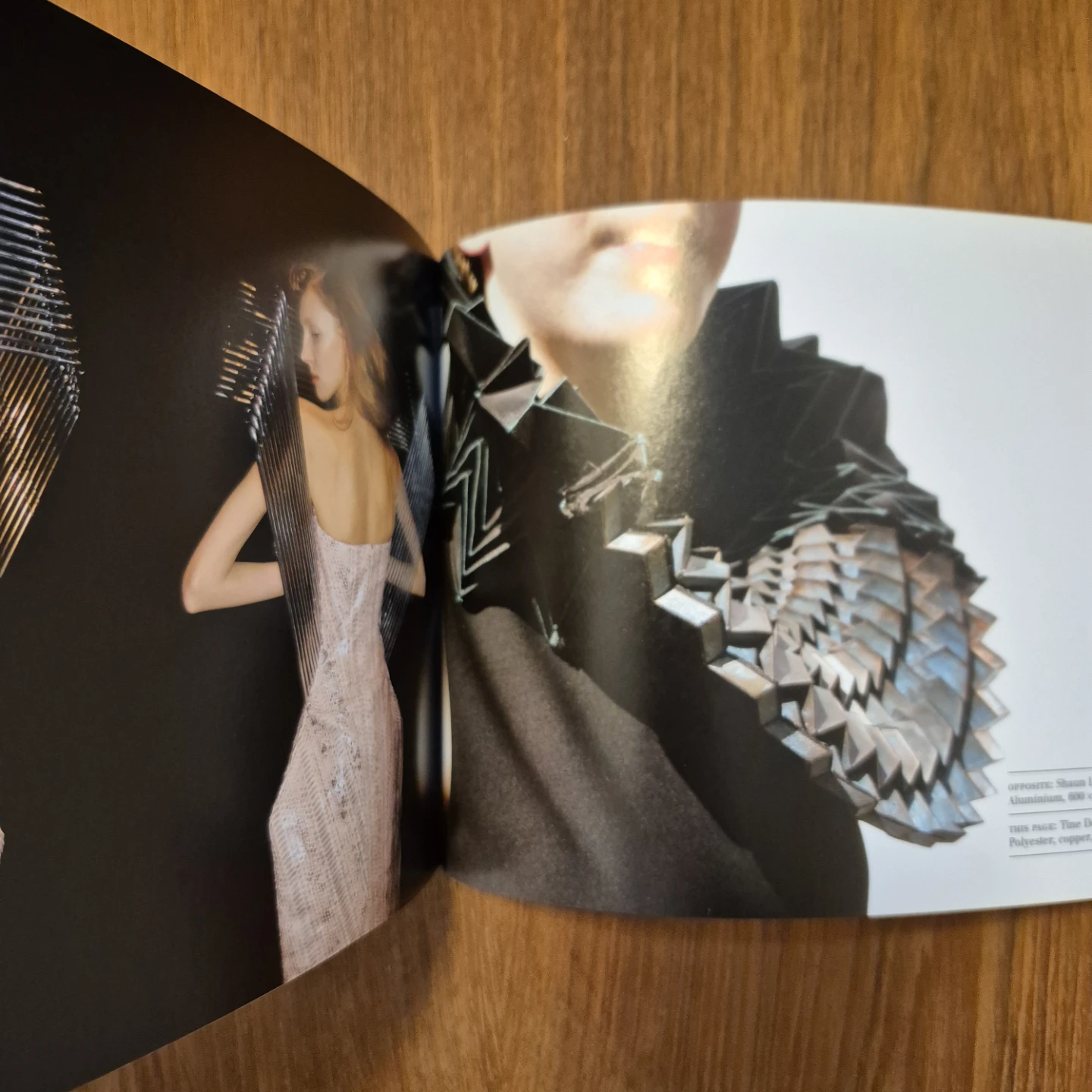 "Adorn: New Jewelry" by Amanda Mansell - photo 2