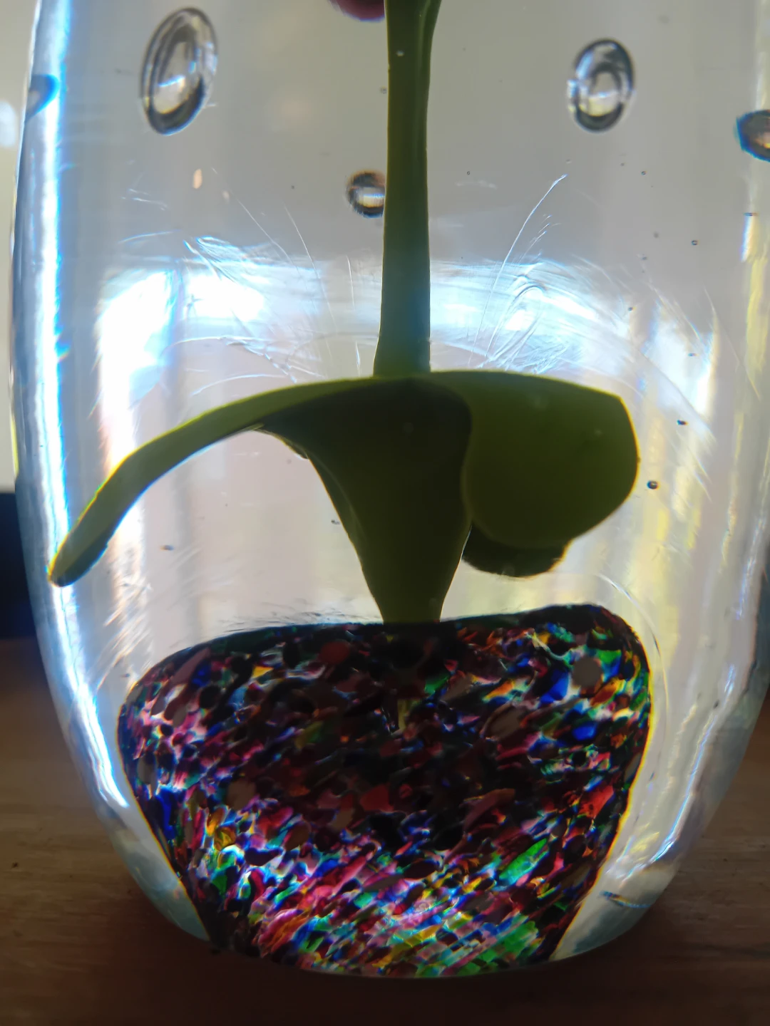 Glass Paperweight with Embedded Flower - photo 3