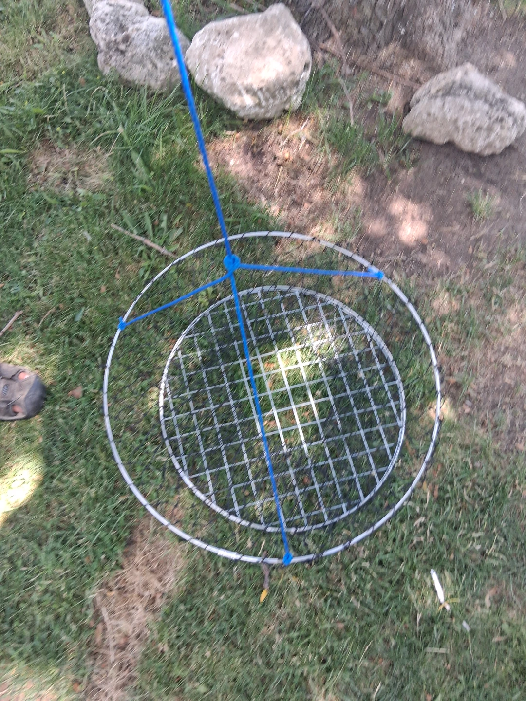 Brand New Convertible Fishing Dipping Net & Lobster Trap Kit - photo 2