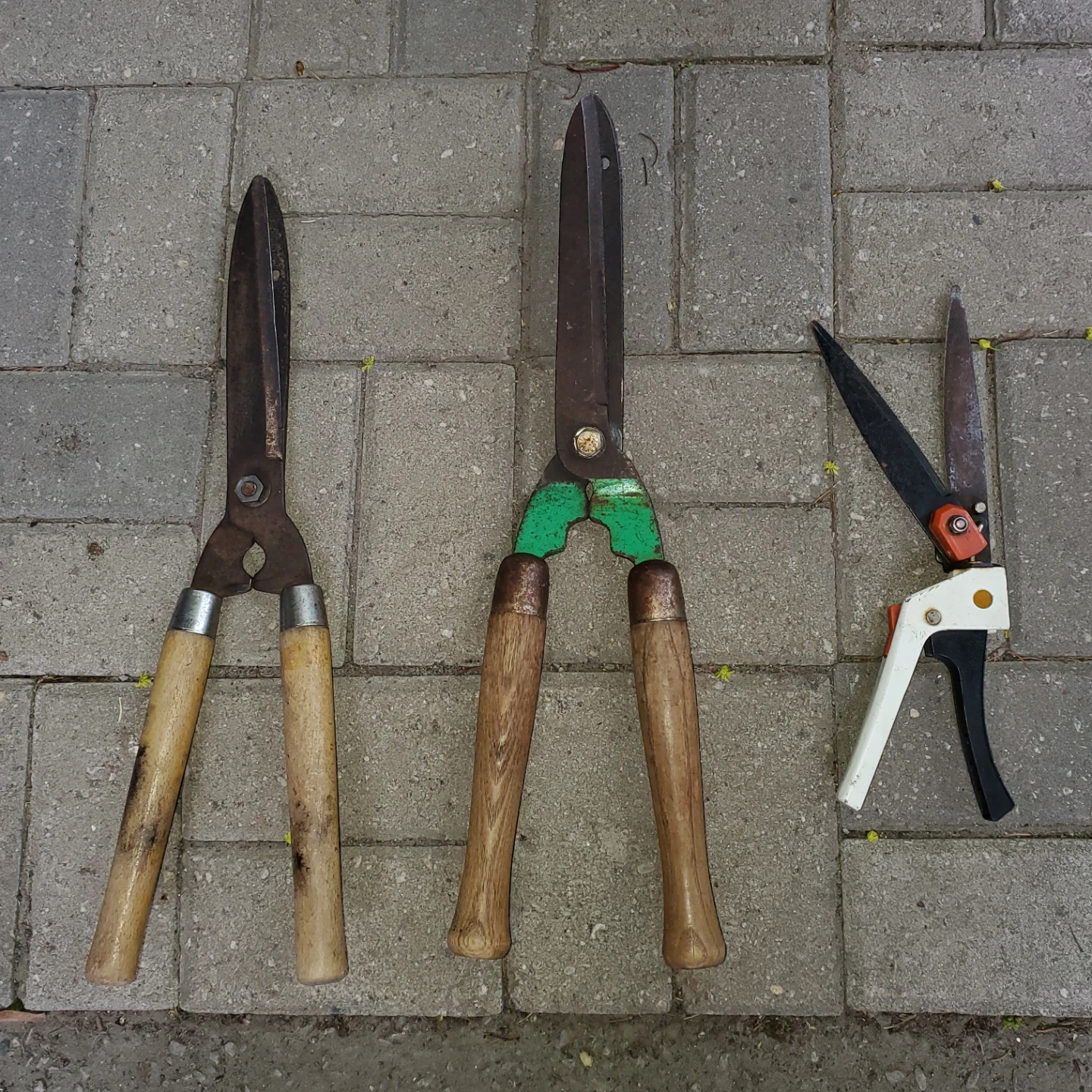 Vintage Garden Shears and Pruners