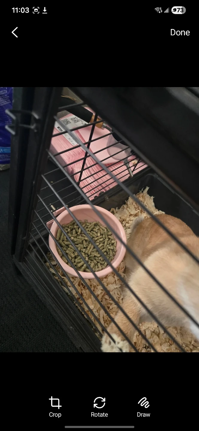 Small Pet Water Bottle Dispenser and food tray
